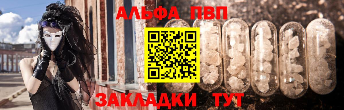 A PVP СК КРИС Аргун