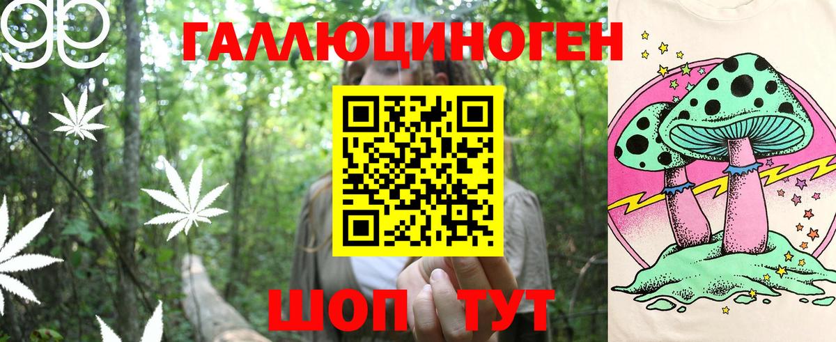 Псилоцибиновые грибы GOLDEN TEACHER Аргун