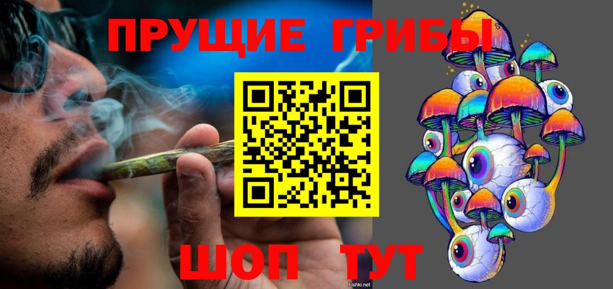 как найти закладки  Псилоцибиновые грибы прущие грибы  Аргун  Вход с VPN  Псилоцибиновые грибы Cubensis 